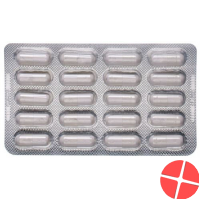 Dr. Dünner Vitamin B12 40 capsules vegan