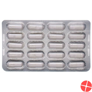 Dr. Dünner Vitamin B12 Capsules vegan 40 pieces
