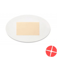 Gehwol Blasenpflaster 6 Stück