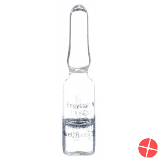 Engystol N Injektionslösung 100 Ampullen 1.1ml
