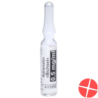 Adrenalin Bichsel Injektionslösung 0.5mg/ml 10 Ampullen 1ml