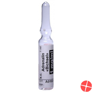 Adrenalin Bichsel Injektionslösung 1mg/ml 10 Ampullen 1ml