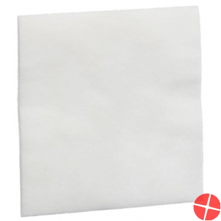 Melolin Wundkompressen 10x10cm Steril 10 Beutel