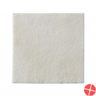Biatain Alginate Ag Kompresse 10x10cm 10 Stück