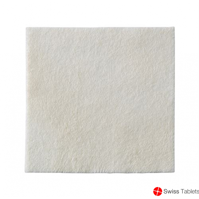 Biatain Alginate Ag Kompresse 10x10cm 10 Stück buy online