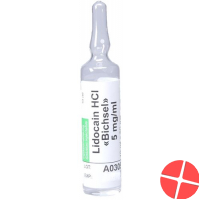 Lidocain Bichsel Injektionslösung 0.5% 10 Ampullen 10ml