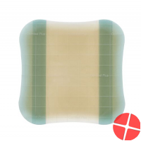 Comfeel Plus flexible wound dressing 15 x 15 cm 5 pieces