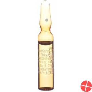 Formasan Injektionslösung 10 Ampullen 2ml