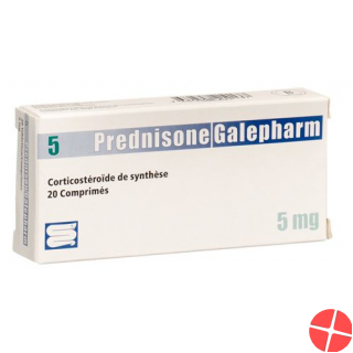 Prednison Galepharm Tabletten 5mg 100 Stück