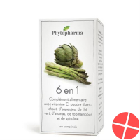 Phytopharma 6in1 120 tablets