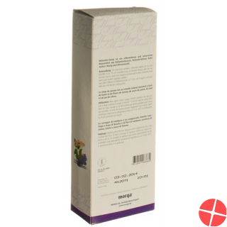 Morga Elder Syrup 380ml