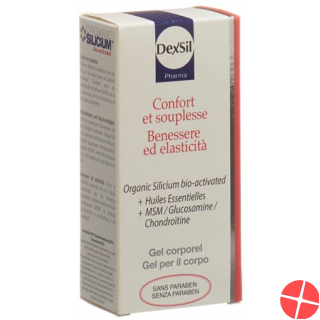 Dexsil Wohlbefin Geschme Gel Msm/gluc/chon+aeoe 50