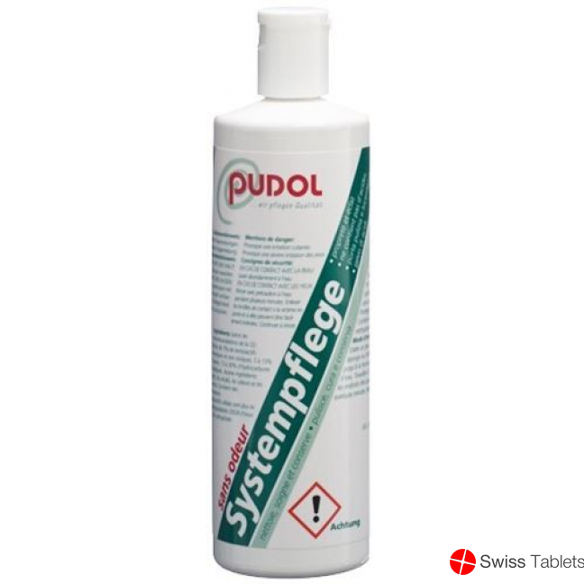 Pudol Systempflege Geruchlos 200g buy online