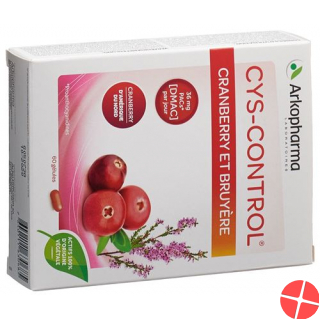 Cys-control Cranberry und Heidekraut Kapseln 20 Stück