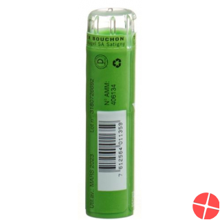 Sn Arnica Granulat Ch 9 15g