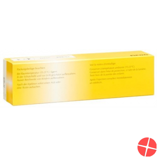 Epipen Injektionslösung 0.3mg Auto Injektor 2 Stück