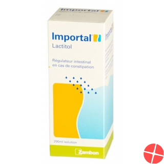 Importal Lösung 12x 500ml