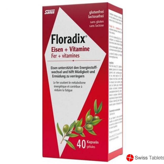 Floradix Vitamins + Organic Iron Capsules 40 Piece buy online