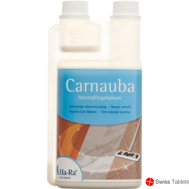 Ha Ra Carnauba Naturpflegebalsam 5L buy online