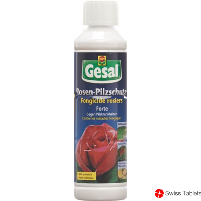 Gesal Rosen Pilzschutz Forte 1L buy online