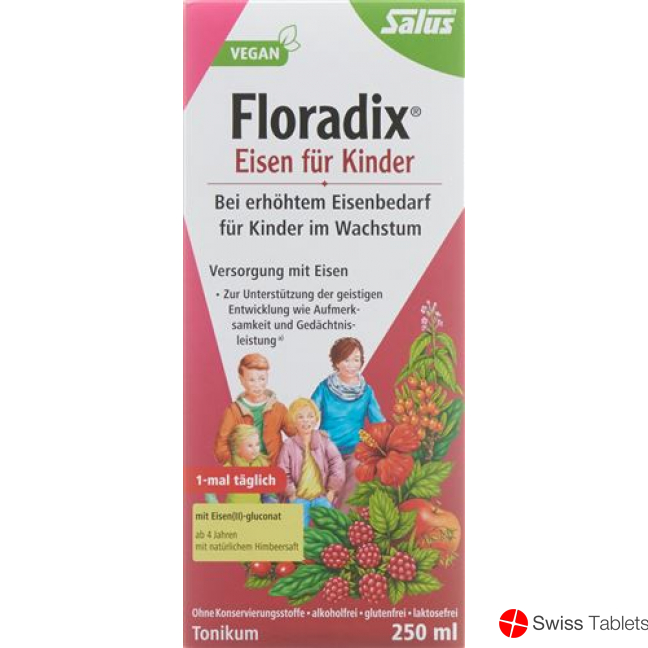 Floradix Eisen für Kinder Saft Flasche 250ml buy online