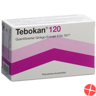 Tebokan 120 Filmtabletten 120mg 90 Stück