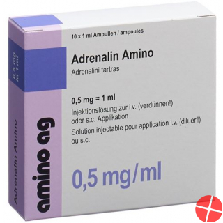 Adrenalin Amino Injektionslösung 0.5mg/ml 100 Ampullen 1ml