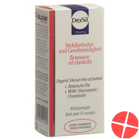 Dexsil Wohlbefin Geschme Gel Msm/gluc/chon+aeoe 50