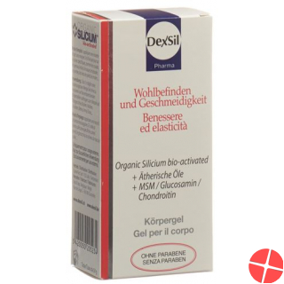 Dexsil Wohlbefin Geschme Gel Msm/gluc/chon+aeoe 50