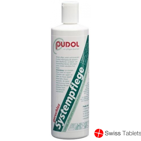 Pudol Systempflege Geruchlos 200g buy online