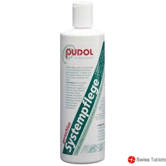 Pudol Systempflege Geruchlos 200g buy online