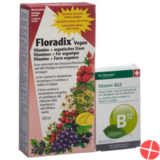 Floradix HA Vitamins + Organic Iron Bottle 500 ml