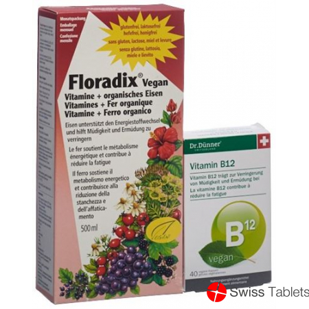 Floradix HA Vitamins + Organic Iron Bottle 500 ml