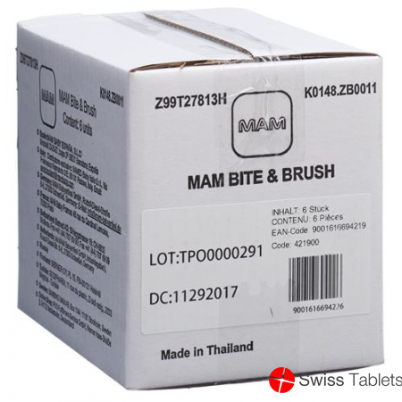 Mam Bite & Brush 3+m Ass 6 Stück buy online