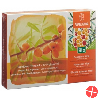 Weleda Sanddorn Vital Sirup Trio 3 Flasche 200ml