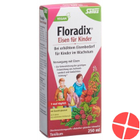 Floradix Eisen für Kinder Saft Flasche 250ml