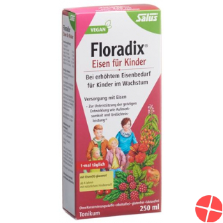 Floradix Eisen für Kinder Saft Flasche 250ml