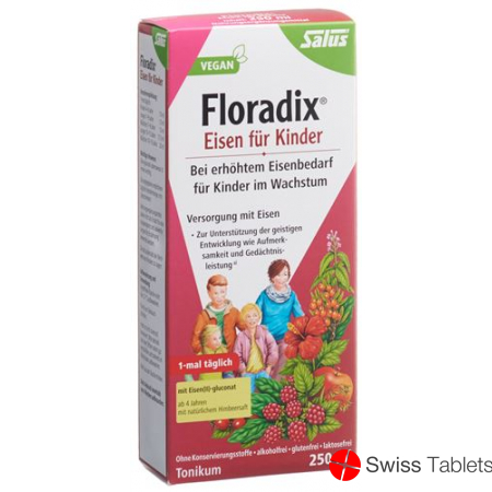 Floradix Eisen für Kinder Saft Flasche 250ml buy online