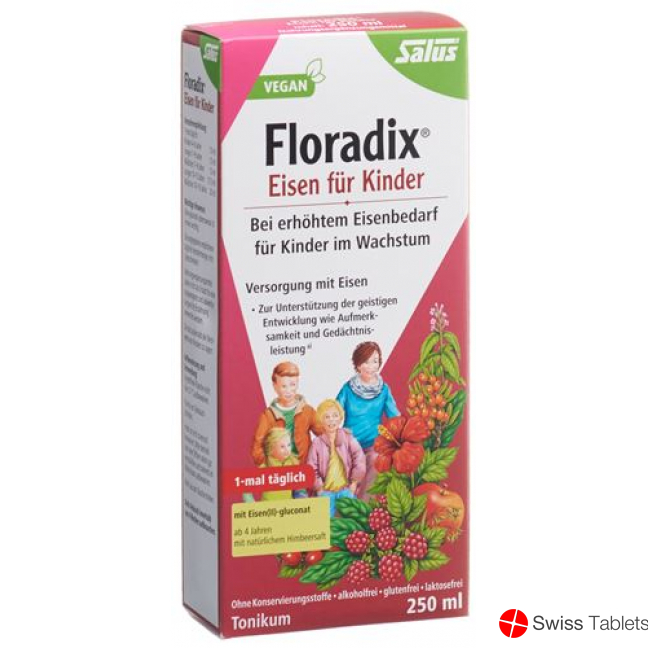 Floradix Eisen für Kinder Saft Flasche 250ml buy online