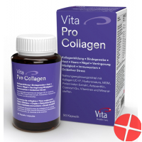 Vita Pro Collagen Kapseln Glas 90 Stück Vita Pro Collagen Kapseln Glas 90 Stück