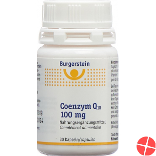 Burgerstein Coenzym Q10 capsules 100 mg Ds 30 pieces