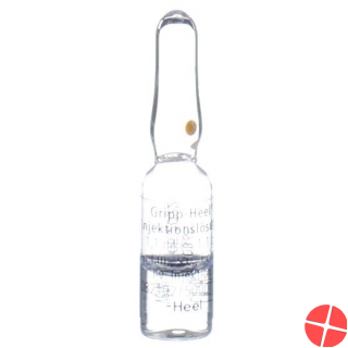 Gripp Heel Injektionslösung 10 Ampullen 1.1ml