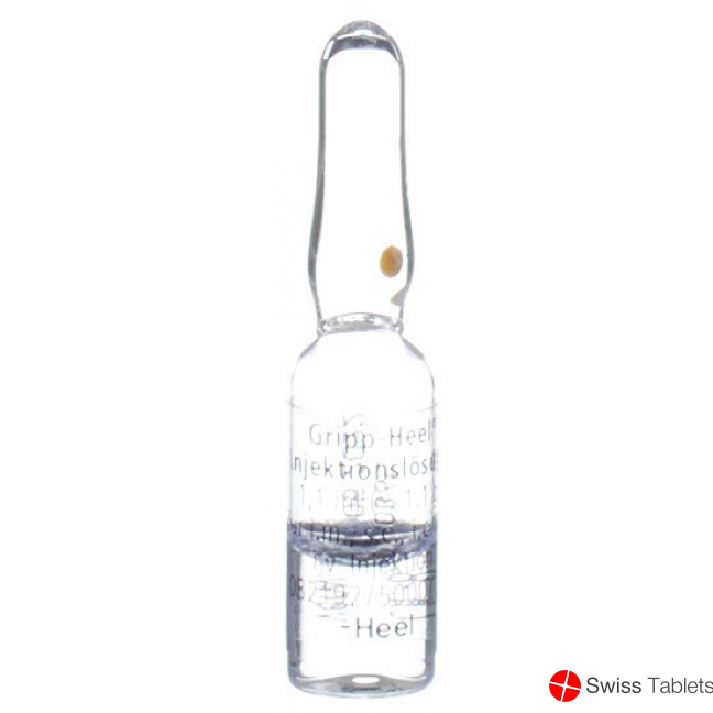 Gripp Heel Injektionslösung 10 Ampullen 1.1ml buy online