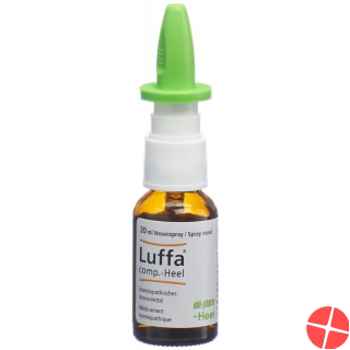 Luffa Comp Heel Nasenspray 20ml