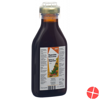 Floradix Magnesium Mineral Drink 250ml