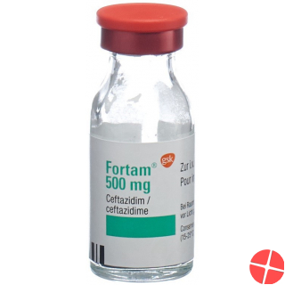 Fortam Trockensubstanz 500mg Durchstechflasche