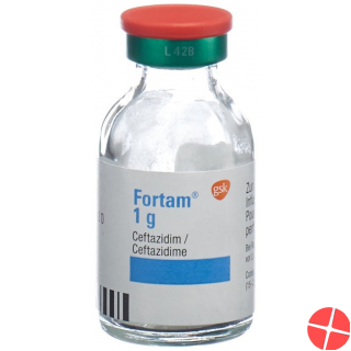 Fortam Trockensubstanz 1g Durchstechflasche