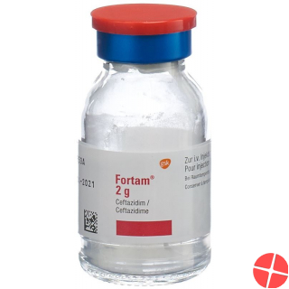 Fortam Trockensubstanz 2g Durchstechflasche