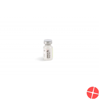 Esmeron Injektionslösung 100mg/10ml 10 Durchstechflaschen 10ml