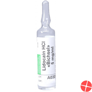 Lidocain Bichsel Injektionslösung 0.5% 10 Ampullen 10ml